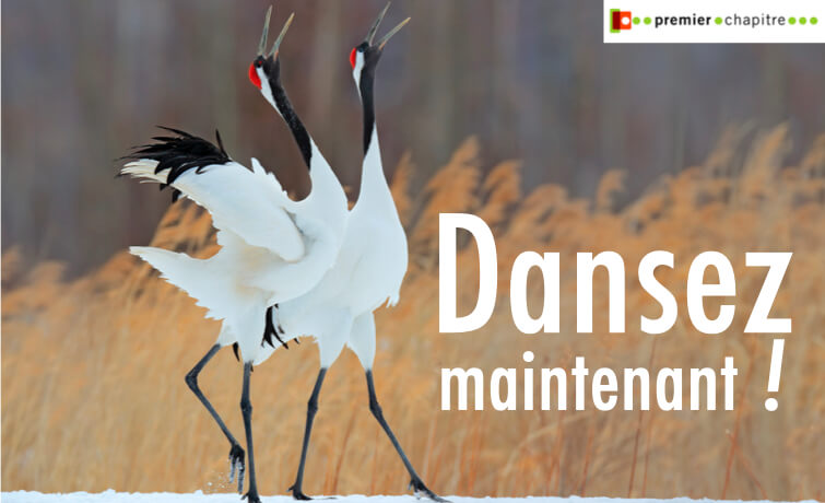 Dansez maintenant !