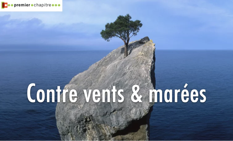 La persévérance est l'arme de tous ceux qui bravent les difficultés pour parvenir à leurs fins. 