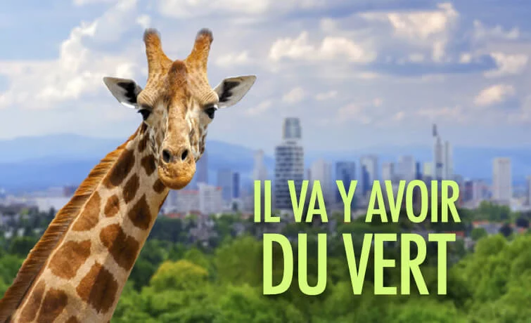 Il va y avoir du vert