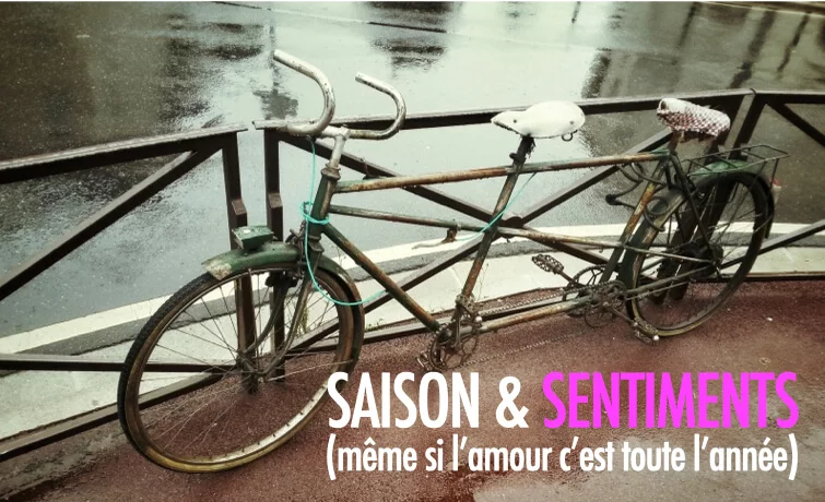 L'amour est une maladie ordinaire.