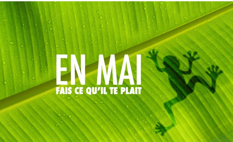 Booklist inspirée du top 20 des emprunts en bibliothèque