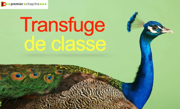Transfuge de classe