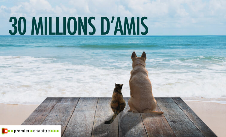 30 millions d'amis