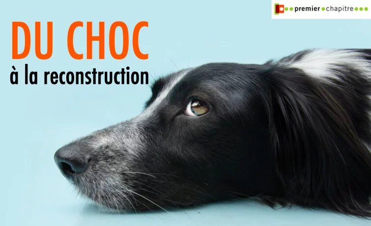 Du choc à la reconstruction