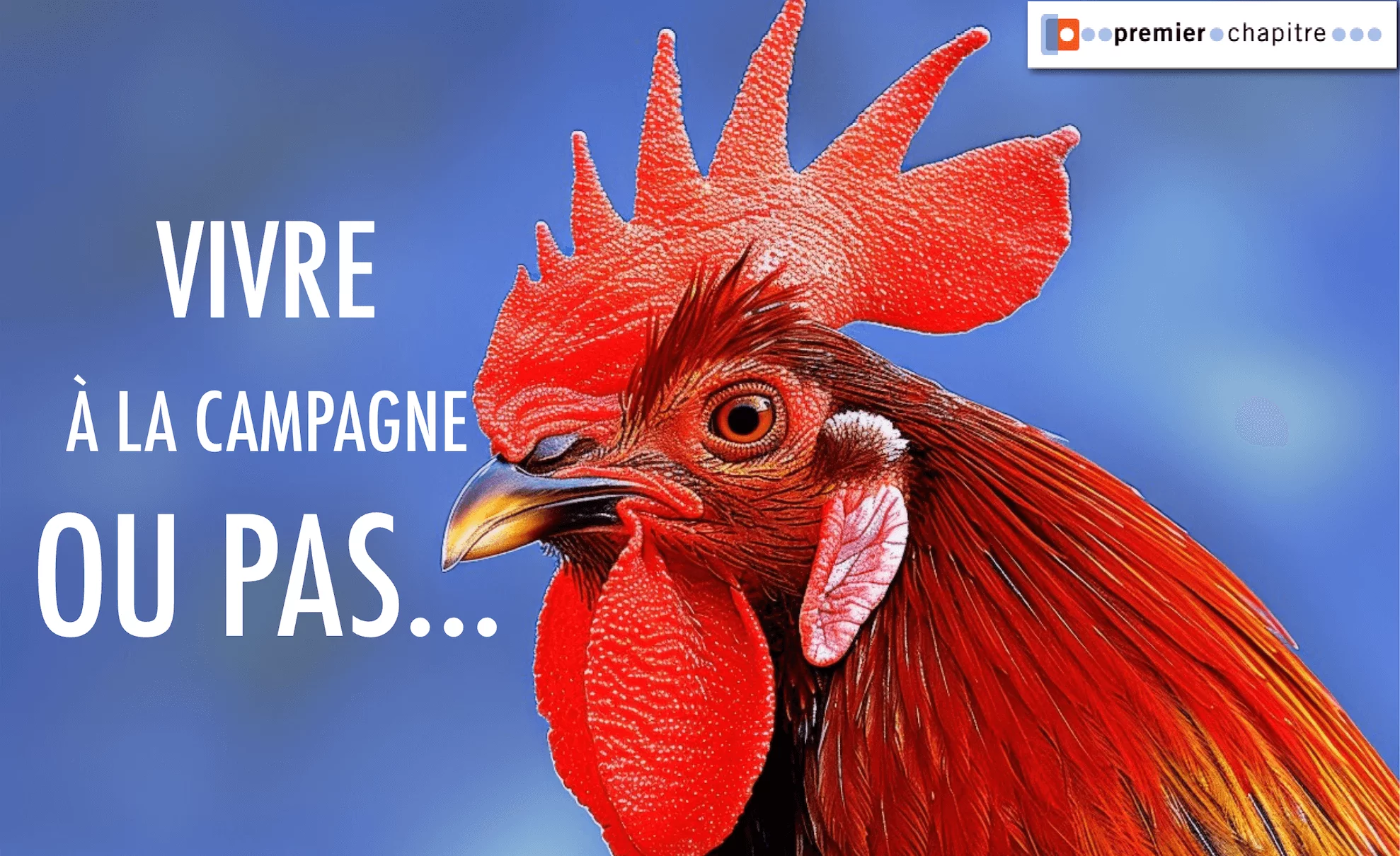 VIVRE À LA CAMPAGNE, OU PAS... 