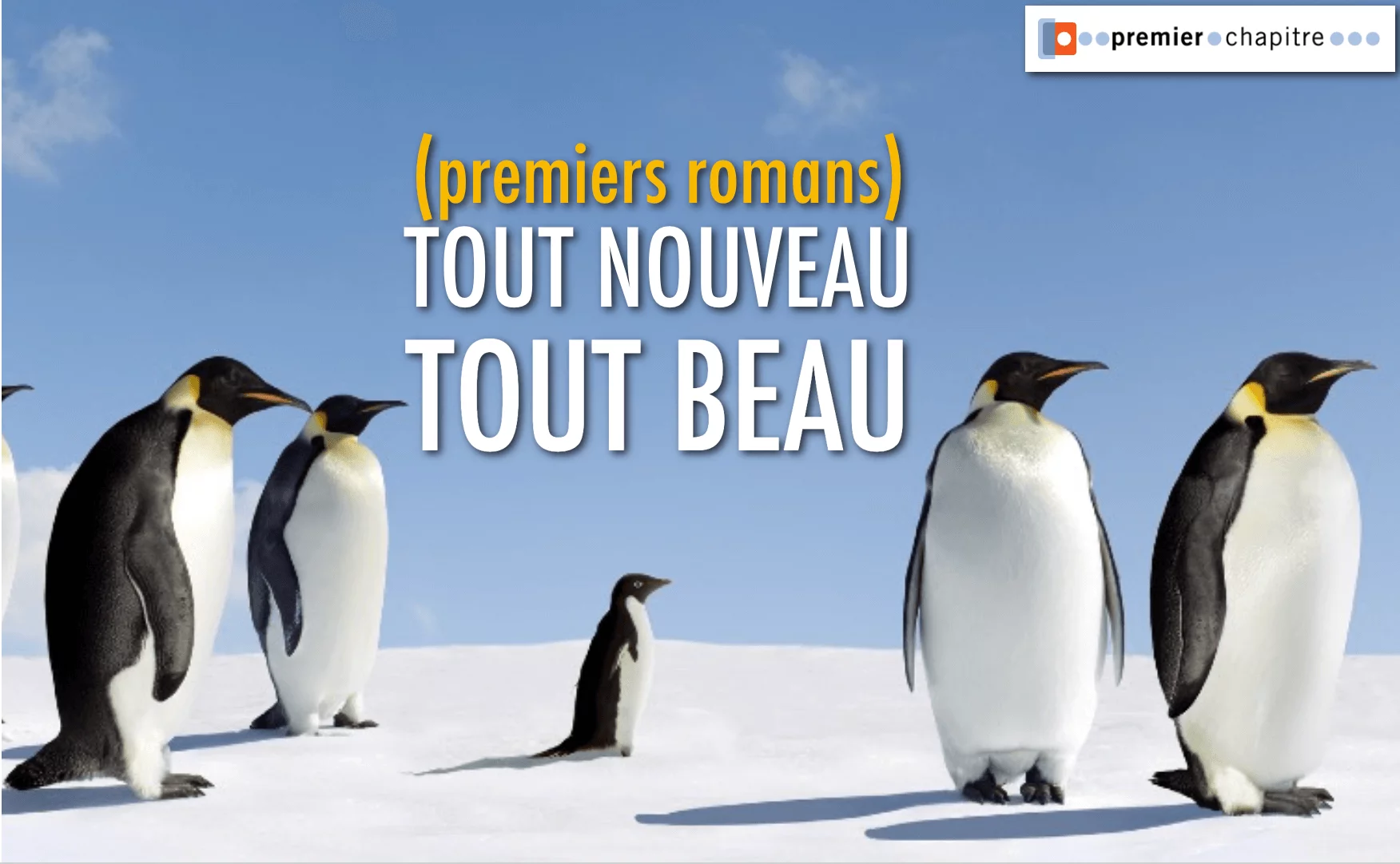 Tout nouveau tout beau 