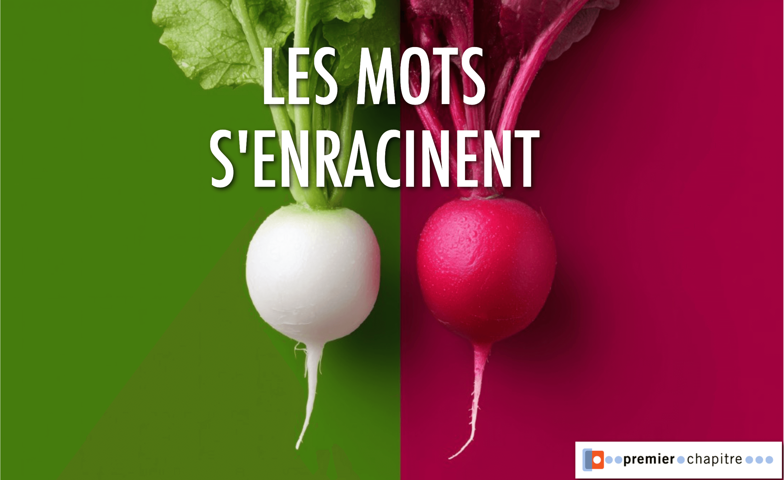 Les mots s'enracinent