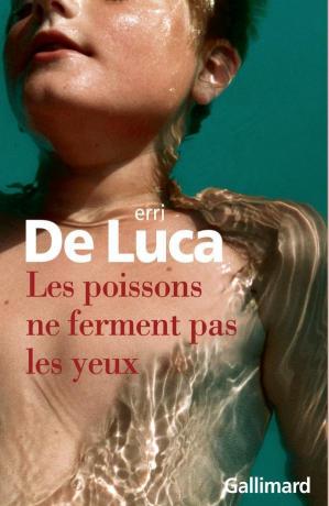 Les poissons ne ferment pas les yeux  de Erri de Luca