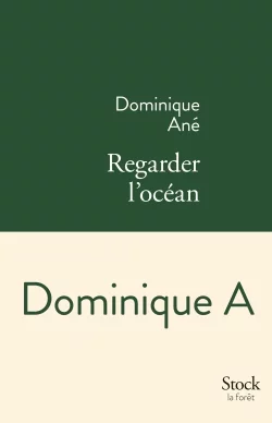 Regarder l'océan de Dominique Ané
