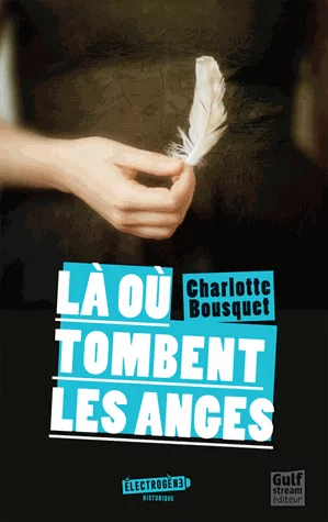 Couverture : Là où tombent les anges