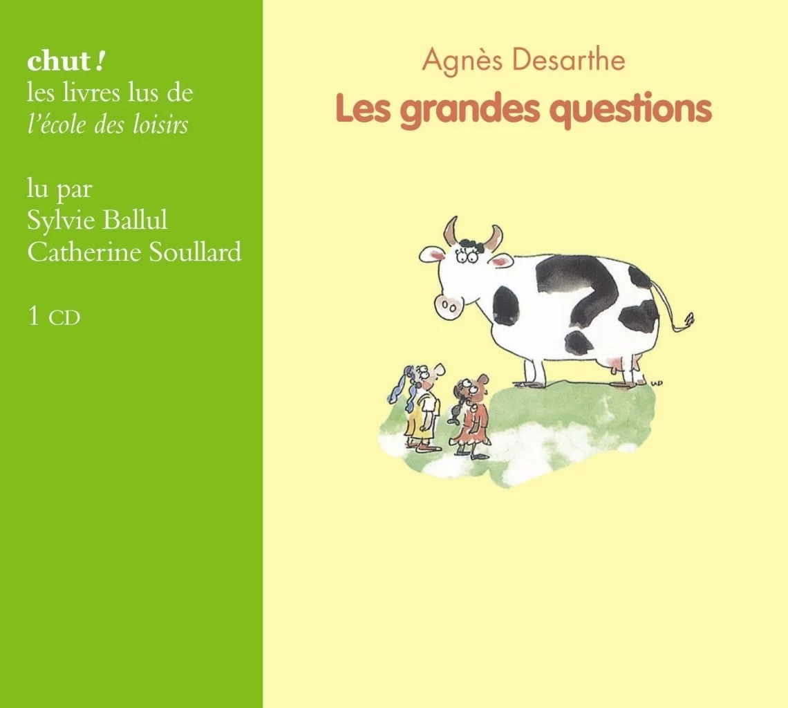 Les grandes questions de Agnès Desarthe