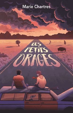 Les petits orages de Marie Chartres