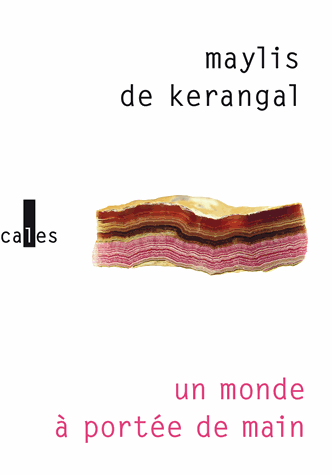 Un monde à portée de main de Maylis de Kerangal