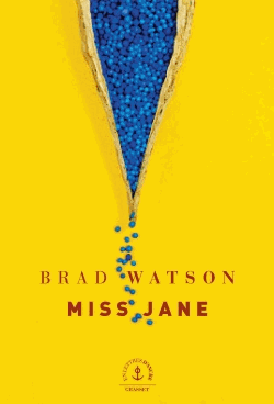 Miss Jane de Brad Watson