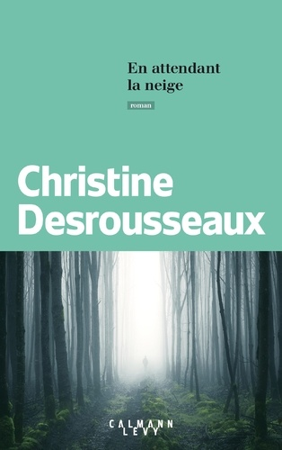 En attendant la neige de Christine Desrousseaux