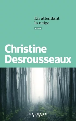 En attendant la neige de Christine Desrousseaux