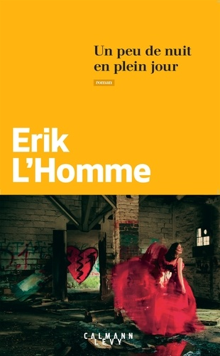 Un peu de nuit en plein jour de Erik L'Homme