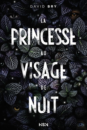 La Princesse au visage de nuit de David Bry