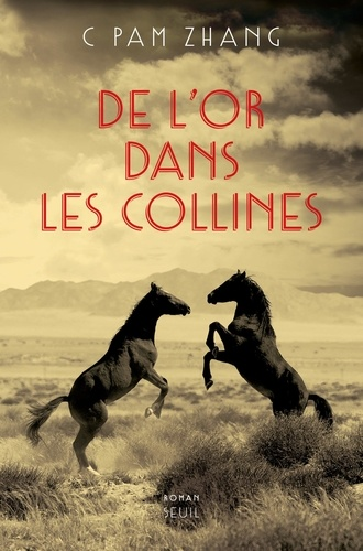 De l'or dans les collines de C Pam Zhang