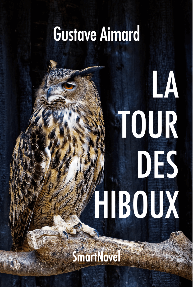 La tour des hiboux de Gustave  Aimard