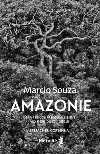 Amazonie - De la période précolombienne aux défis du XXIe siècle de Marcio Souza